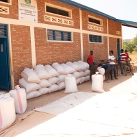 La conservation de la production agricole dans les hangars communautaires à Nyabikere.